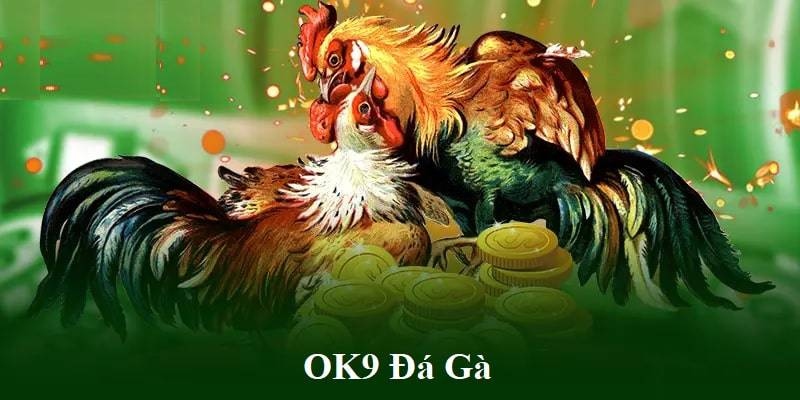 Tổng quan thông tin về đá gà OK9